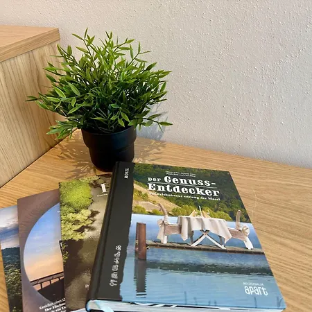 Apartment Riversidemosel Free Netflix Primevideo Ebikeparking Neumagen-Dhron